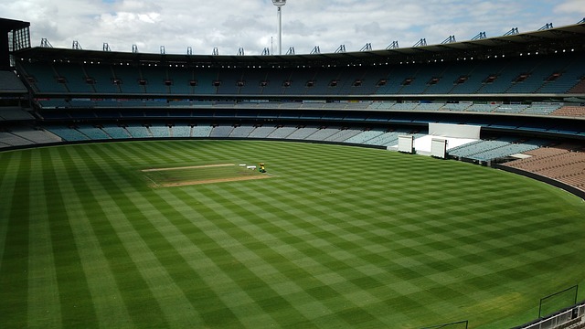 台或球員的 台或球員的