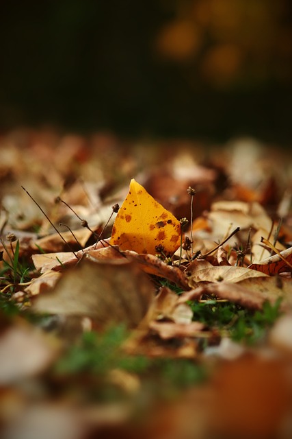 並參與香港 並參與香港
