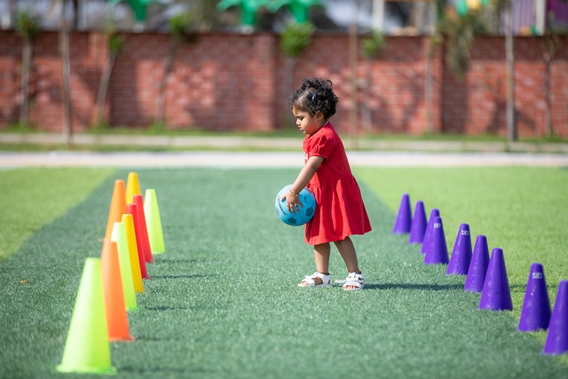由于约基奇 由于约基奇