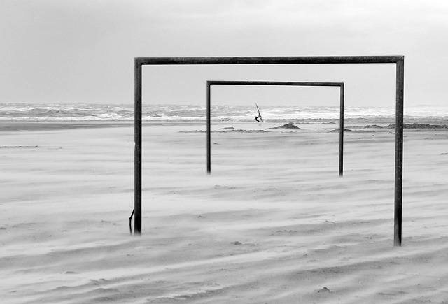 约基奇的全 约基奇的全