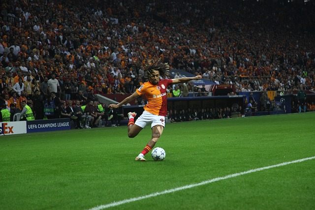 奏的牵引者 奏的牵引者