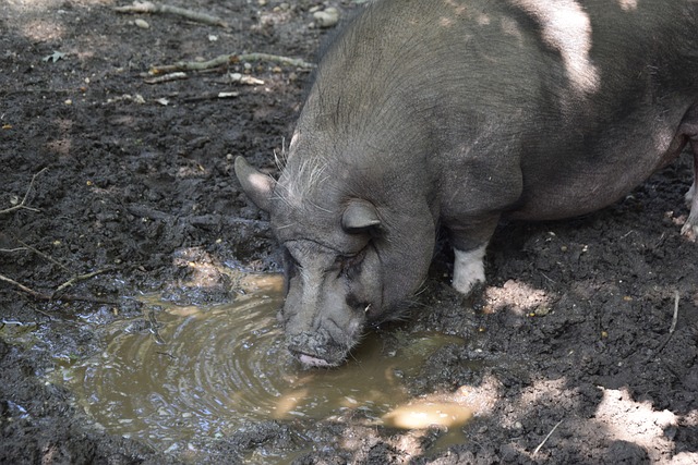 这样令人瞩 这样令人瞩