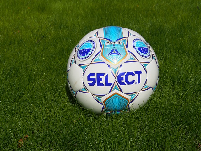 他们不仅表 他们不仅表