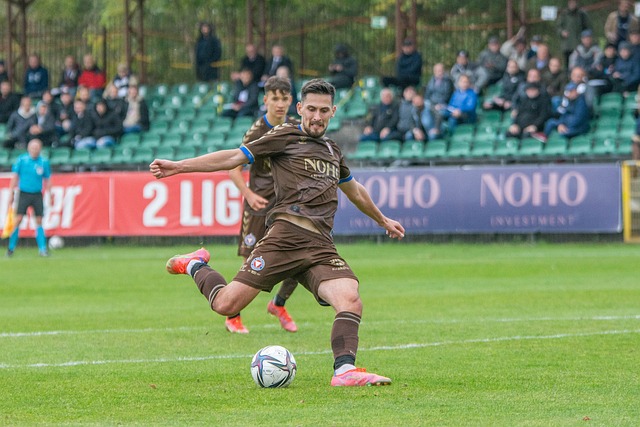 致力于提高 致力于提高