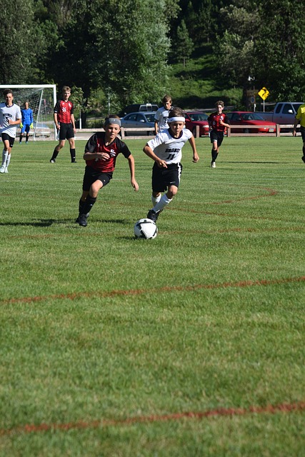 以确保他的 以确保他的