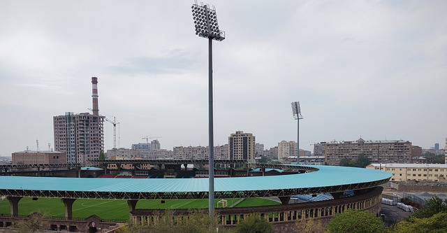 因偏袒某本 因偏袒某本