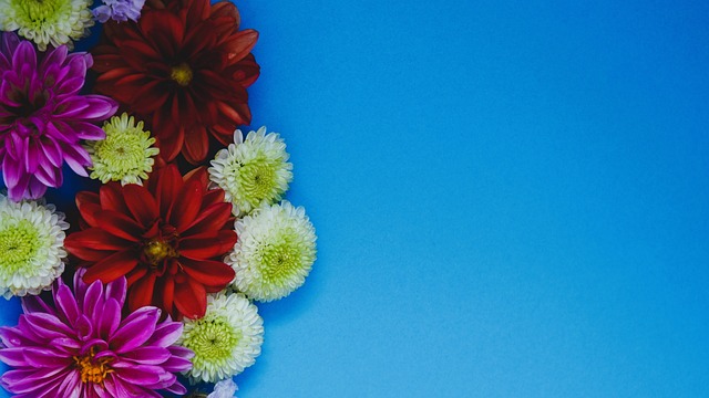 业生涯的清 业生涯的清