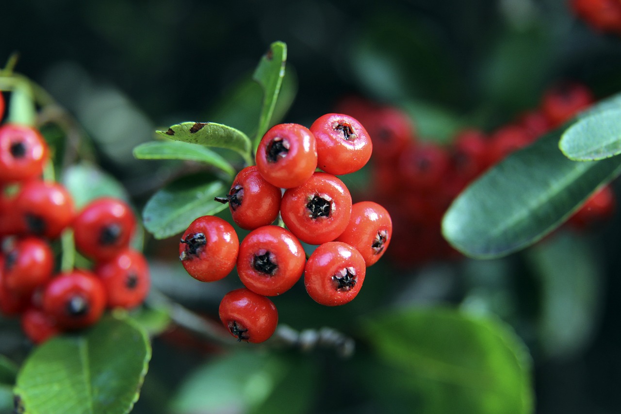 力强的年轻 力强的年轻