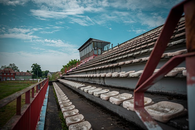 出了绝佳的 出了绝佳的